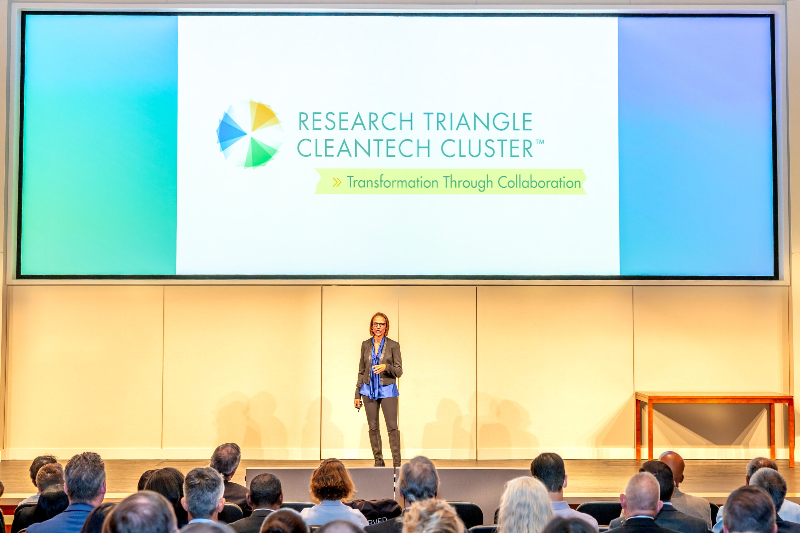 RTCC Executive Director Dr. Deb Wojcik at the 2023 Cleantech Innovation Awards
